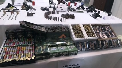 Mardin'de silah ve tarihi eser operasyonu (2)