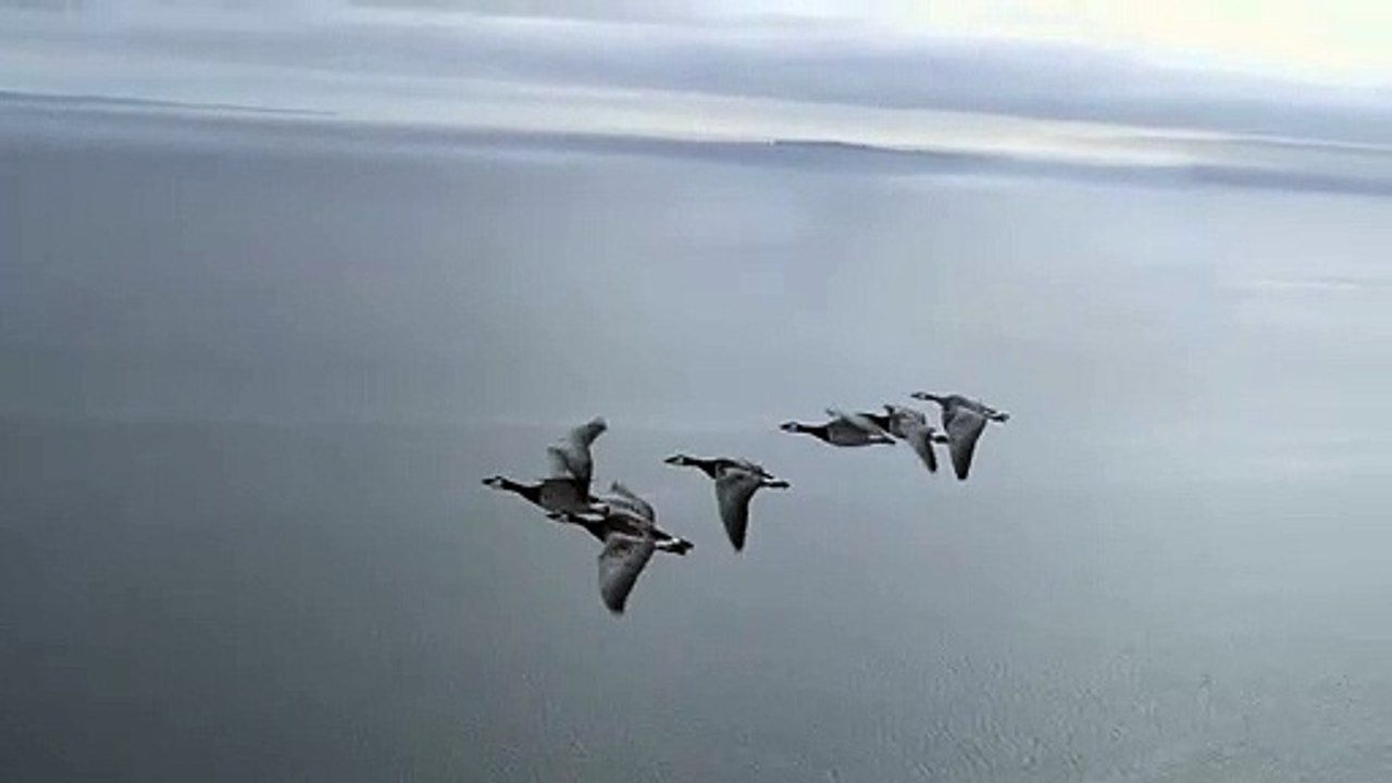 Campagne FranceTV Publicité 2019