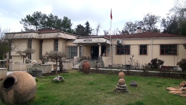 Evin duvarında salyangoz fosili bulundu - ADIYAMAN