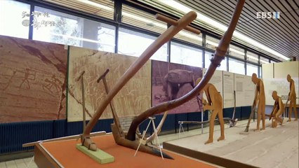 EBS 다큐프라임 - Docuprime_5원소, 문명의 기원 (흙, 생명을 품다)_#002