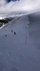 Skier Disappears into Powdery Mist