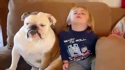 Çocuklar ve Hayvanların Sevimli Halleri