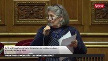 Projet de loi mobilités : les débats du sénat - Les matins du Sénat (26/03/2019)