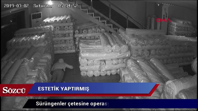 Sürüngenler çetesine operasyon: Estetikli çete lideri de yakalandı