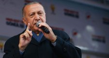 Erdoğan Müjdeyi Verdi: Her Bir Hayvan İçin 100 TL Destek Ödemesi Yapacağız