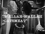Steptoe And Son S2 E1 Wallah-Wallah Catsmeat