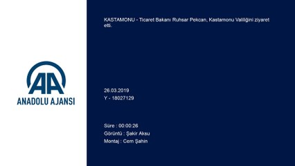 Bakan Pekcan, valiliği ziyaret etti - KASTAMONU