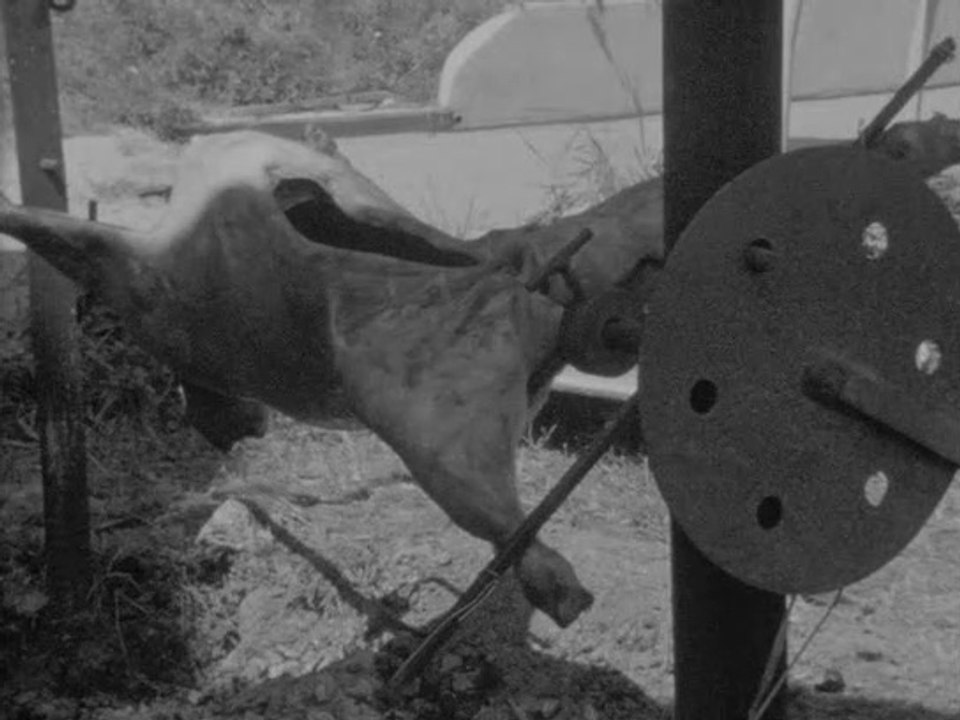 Traité portatif d'irréalisme et d'irréalité