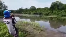 لحظة مرعبة لتمساح ينقض على التهام سمكة من سنارة صياد