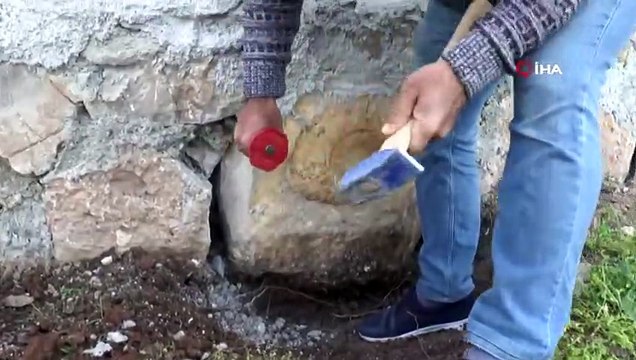 Evin Duvarında Fark Edilen '65 Milyon Yıllık' Dev Fosil Müzeye Alındı