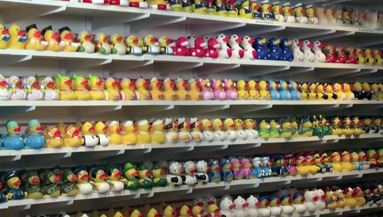 Ducks in the Window – Every Rubber Duck You Could Ever Imagine