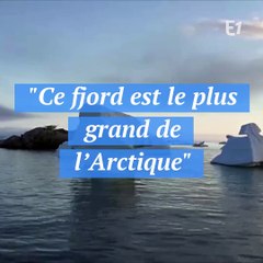 Dans Au coeur de l'histoire, Fabrice d'Almeida raconte Paul-Emile Victor