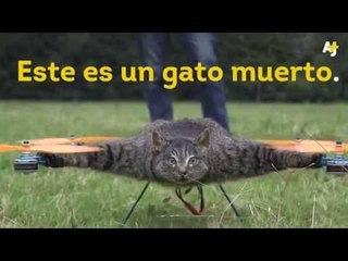 Animales embalsamados convertidos en drones