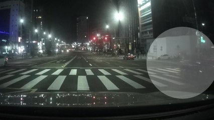 20대 뺑소니범 한 달 만에 검거...구속영장 신청 / YTN