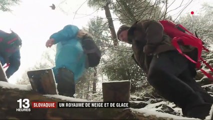 Feuilleton (2/5) : les contrées sauvages de l'Est