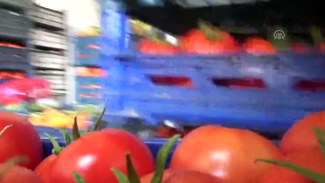 Silopi modern sebze haline kavuştu - ŞIRNAK