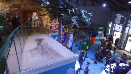 There's Something New At The National Sea Life Centre!