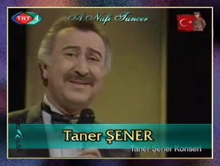 Taner ŞENER - Her Seferinde Hep Böyle