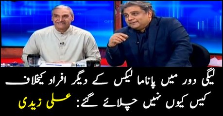 Why did PML-N no pursue cases against people named in Panama Papers?: Ali Zaidi