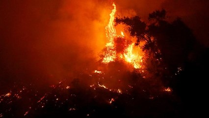 Ég az erdő Genovánál