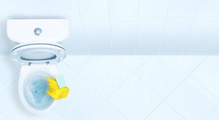 Désodorisant naturel pour les toilettes
