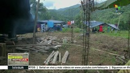 Video herunterladen: Colombia: campesinos e indígenas activan una Gran Minga Nacional