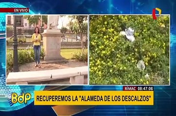 Rímac: histórica Alameda de los Descalzos está abandonada