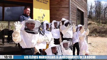 Les élèves marseillais à la découverte de la ruche