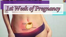 Pregnancy Week 1, The Symptoms, Baby's Growth & Healthy Pregnancy Care BEGINS Now.