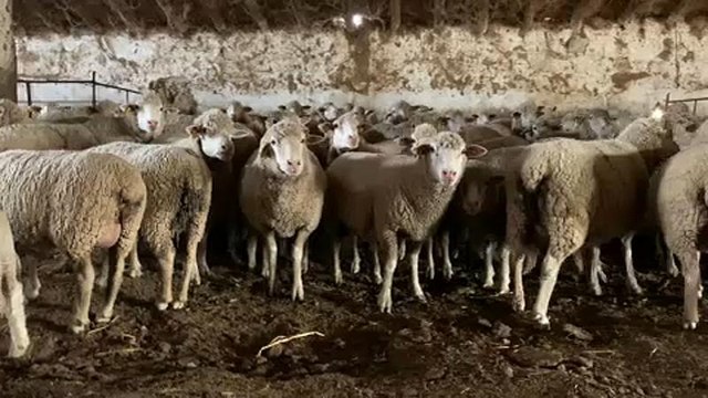 A NAGY UTAZÁS: sújtja a klímaváltozás a spanyol gazdákat