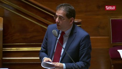 Trottinettes électriques : le dispositif du gouvernement est « très insuffisant », juge Mandelli (LR)
