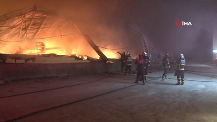 Adana'da Narenciye Paketleme Tesisinde Yangın