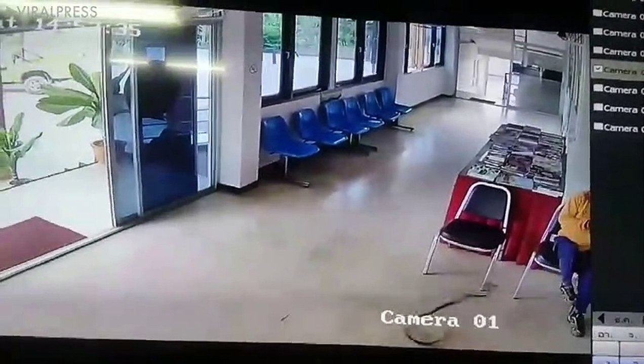 Snake Slithers Into Police Station And Jumps At Man- AnyNews24