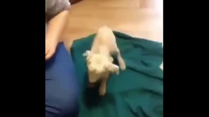 ヘ슈퍼카지노 〔〔ＴＴＳ３３２．ＣΦ Μ 〕〕