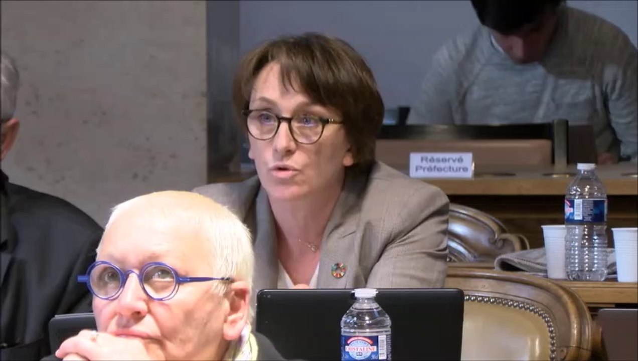 Céline TONOT. Schéma départemental des enseignements artistiques.25 mars 2019.
