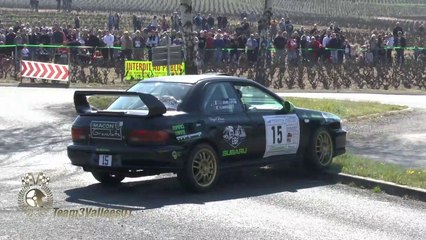 Rallye des Vignes de Régnié 2019 show and mistakes N°2