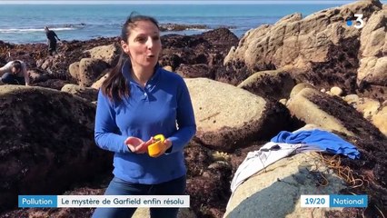 "Plus de trente ans après, on retrouve des morceaux quasi-neufs" : le mystère de la pollution aux téléphones Garfield dans le Finistère enfin résolu