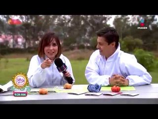 ¡Salvemos a las abejas! Ana Alicia se fue a conocer más de ellas | Sale el Sol