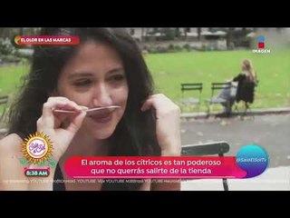 Por Si No Lo Sabías: ¡Ya existe el marketing olfativo! | Sale el Sol