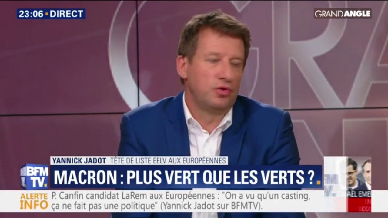 Européennes 2019: Yannick Jadot décrit "un bal des prétendants écolos"