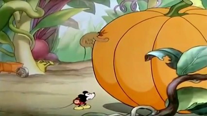 Funny Animals Cartoons   Mickey Mouse and Pluto Full Best Compilation Episodes Cartoon 2017