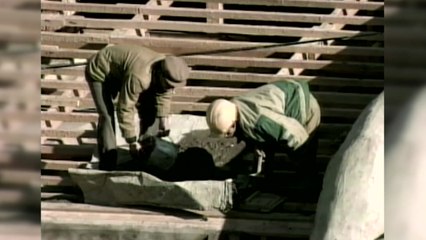 "中·러, 작년 北 노동자 절반 이상 송환" / YTN