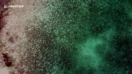 Stunning drone footage of swimmer enjoying Bahamian waters