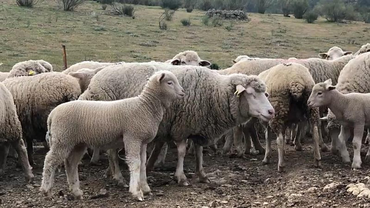Kein Bock auf Politik: „Verschwenden unsere Zeit mit Dummheiten'