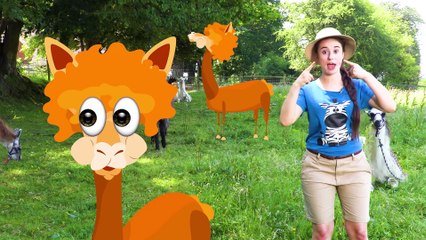 Learn with Ellie Explorer | ABC Colors Compilation | #TodayILearned | Educational Videos for Kids