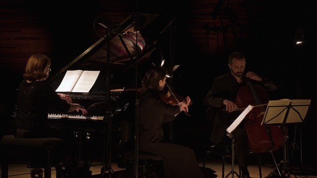 Trio en mi bémol Majeur op. 100 D 929 (extrait) : Andante con moto