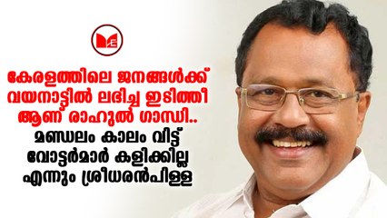 മണ്ഡലമേതായാലും മണ്ഡലകാലമായിരിക്കും വോട്ടർമാർ പരിഗണിക്കുകയെന്ന് അഡ്വ. പിഎസ് ശ്രീധരൻ പിള്ള