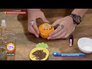 Menjurje para repeler los mosquitos con Amaya Azpiroz | Sale el Sol