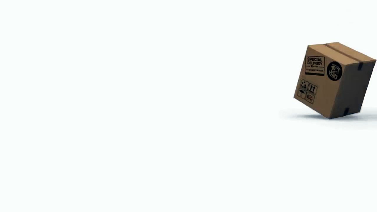 شون الخراف: تحتفل 10 سنوات من الفوضى في المرج