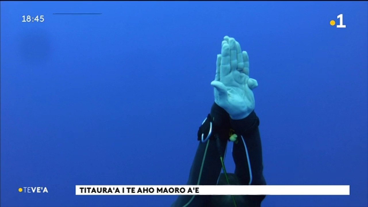 TH : Double tentative de record du monde handisport d’apnée